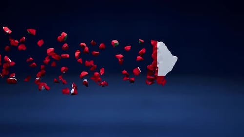 3D Map of Oman Flag Assemble Animation