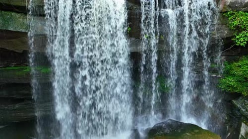 A breathtaking waterfall nestled in a vibrant jungle.
