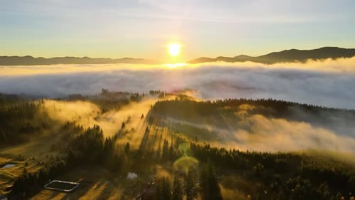 Golden Sunrise Over Foggy Forest Aerial