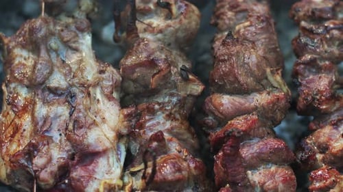 Grilled Meat on Skewers at Picnic Party. Close Up Shish Kebab Grilling