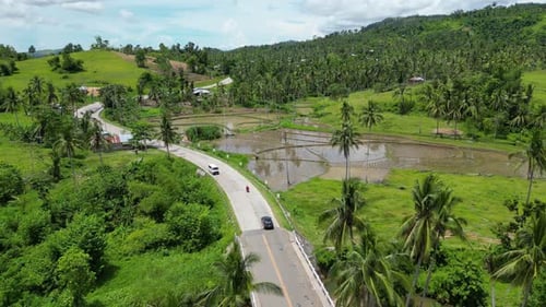 Aerial View of a Winding Country Road Surrounded By Tropical Palm Trees A Winding Snakelike Road on