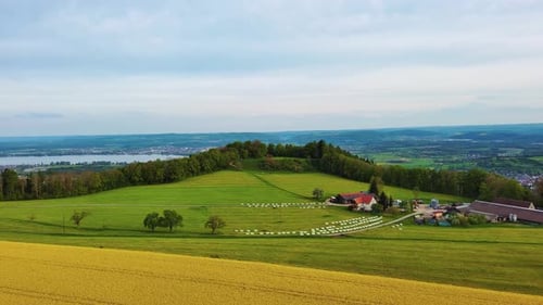 A Farm Stands on a Hill with Crop Fields White Bales of Hay and Pastures Surrounded By Forest