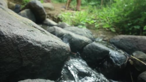 Beautiful, Flowing Stream of A River in a Jungle with Travelers Walking in the Background