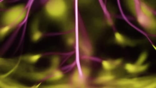 Abstract Plasma Lights Background