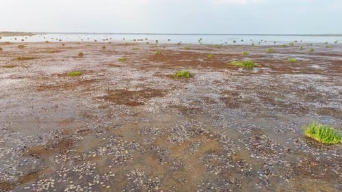 An aerial view of wetland.