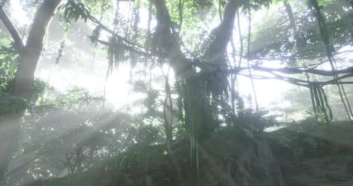 Sunlight Beams Through Lush Tropical Jungle Trees