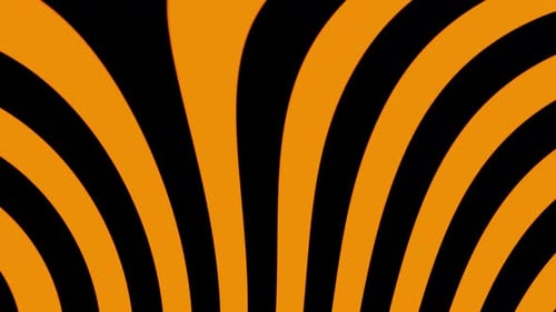 Orange With Black Bee Lines Vj Loop Animation