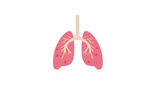 Lungs Element Alpha Animation