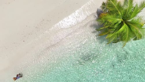 Aerial Top Down View Zoom Out Tropical White Sand Beach with Calm Turquoise Water and Palm Trees