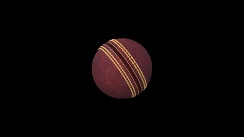 Pelota de críquet giratoria