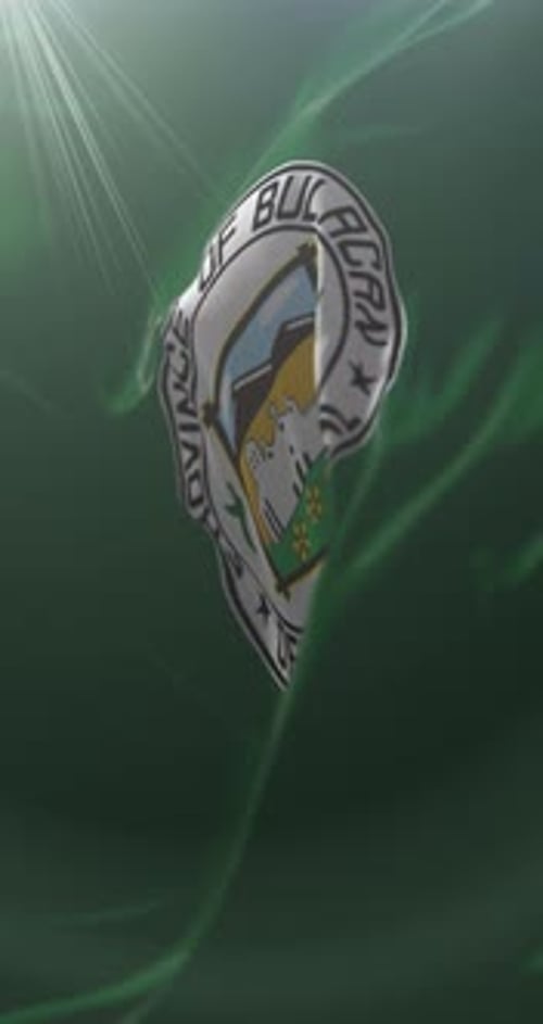 Waving Flag Logo Reveal Animation Vertical