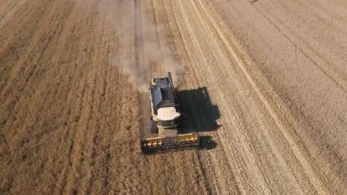 Harvester Combine Working in the Field