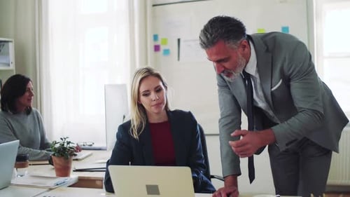Businessman and Businesswoman with Laptop Working Together in Office