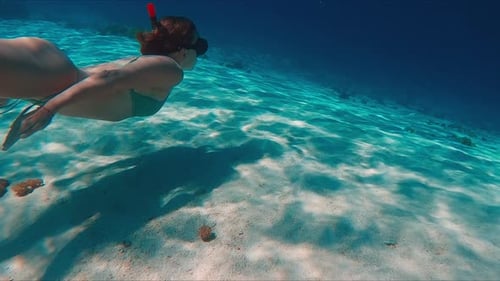 Female Freediver in Bikini Swims Underwater in the Tropical Sea and Glides Over the Sandy Bottom