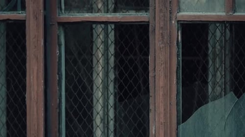 Broken Window with Weathered Frame