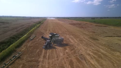 Farmer Working on Wheat Field with Combine Harvester