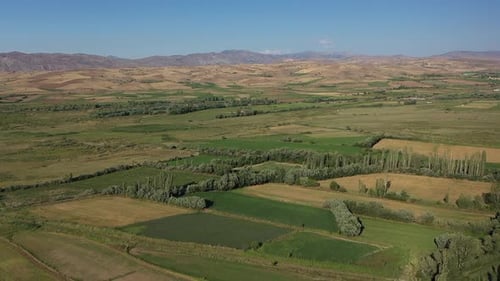Aerial View Of Tree Lined Green Fields And Hills