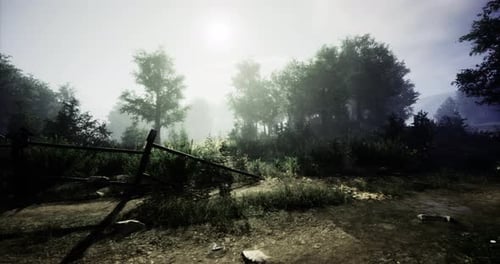 Mysterious Forest Landscape Enveloped in Fog at Dawn Reveals Hidden Beauty