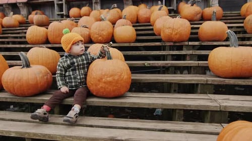 Child Sits Among Pumpkins at the Pumpkin Patch