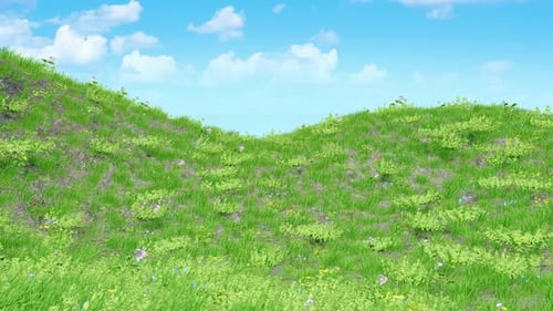 Grass Hill Hd