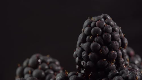 Close-Up of Wet, Fresh Blackberries on Black