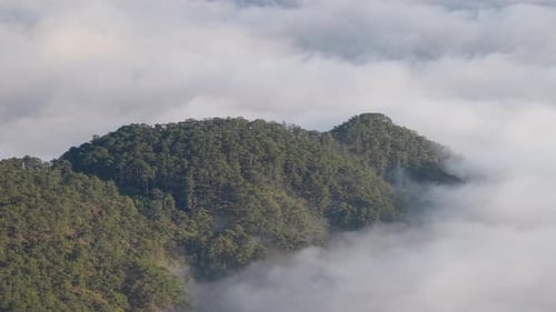 Landscape of misty valley and mountain clouds sea