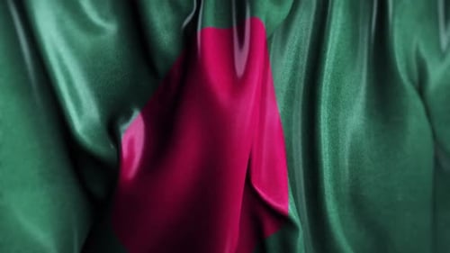 Waving Fabric Flag Realistic Loop Background
