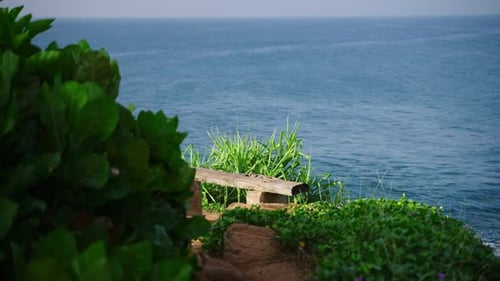 Seaside Bench Overlooks Tranquil Ocean Spot for Contemplation Ideal Setting for Relaxation