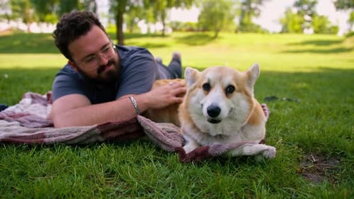 bearded man resting in the park with his pet corgi dog outdoors lying on a sheet summer picnic