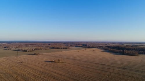 Aerial view of cultivated fields and forest landscape
