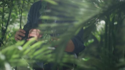 Adventurer in Hat Walking through Jungle Forest and Looking through Binoculars