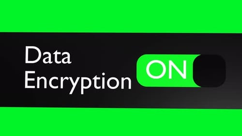 Turn on Data Encryption slider. Secure Internet connection.