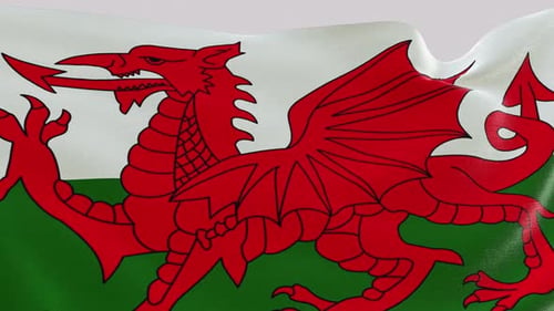 Flagge von Wales im Vollbildmodus