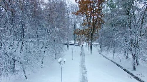 Schneebedeckter Boden und Bäume im Stadtpark. Drohne, die über dem Platz aufsteigt und das Stadtbild öffnet