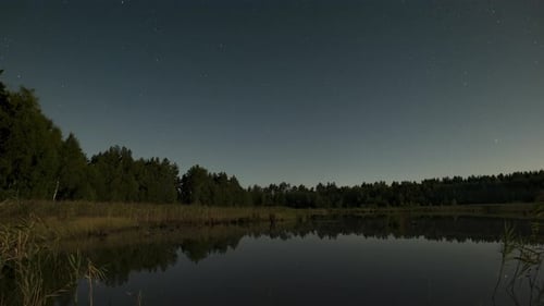 Moonlit Night By a Quiet Lake in the Forest Captured Under the Starry Sky