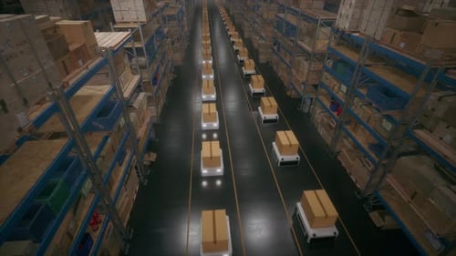 Autonomous Delivery Robots Working in a Modern Warehouse