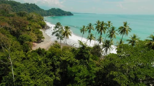 Palm lined tropical coastline with calm ocean waves at Playa Caballeros in Costa Rica