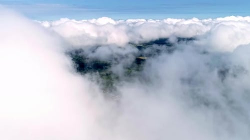 Aerial view of passage through white thick clouds on a sunny day with green nature below