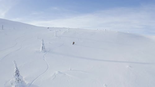 Person snowboarding down a hill outside slopes with snow covered trees and blue sky