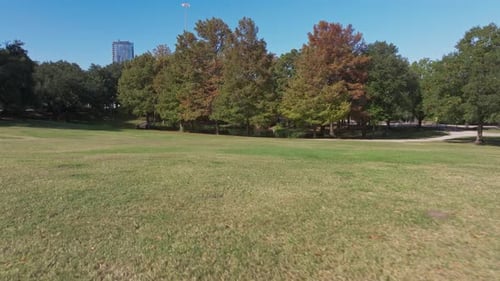 Large grass area inside Sam Houston Park in Houston, TX