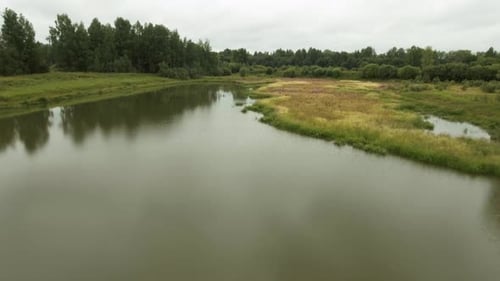 Summer calm landscape without people. Stock footage. Green background with a lake and grass overgrow