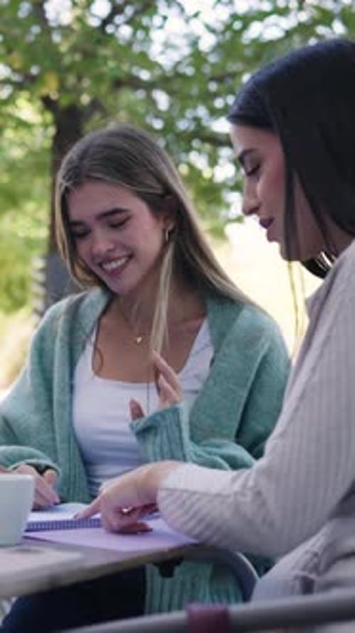 Estudiantes universitarias que estudian juntas al aire libre en el campus vertical