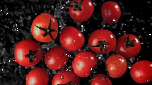 Tomatoes with Splashes Fly Up and Fall Down Filmed on a Highspeed Camera at 1000 Fps