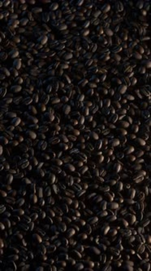 Seamless Loop of Dark Roasted Coffee Beans Vertical Background