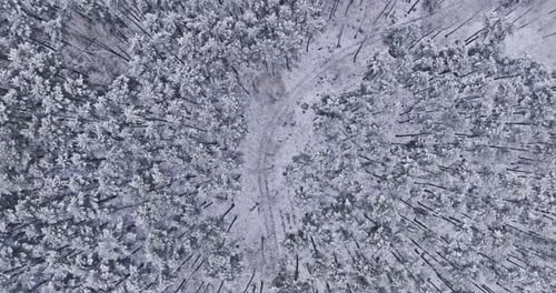 Top down view of country road and winter snowy forest.
