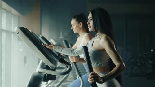 Two Young Attractive Athletic Brownhaired Women Training on Elliptical Trainer