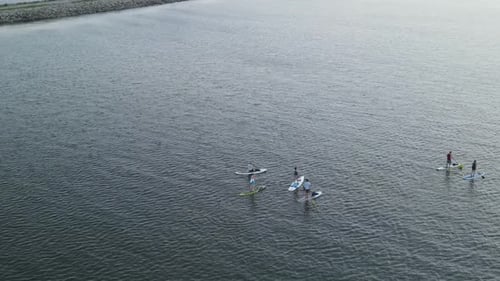 View Of Tourist Surfers Stand Up Paddle Boarding On A Huge Lake At Summertime. Aerial Drone