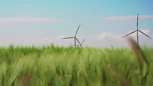 Wind Turbines Rotating in a Green Rural Field