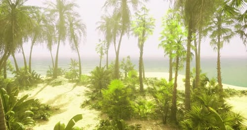 Lush Tropical Landscape with Palm Trees and Serene Ocean View at Sunrise