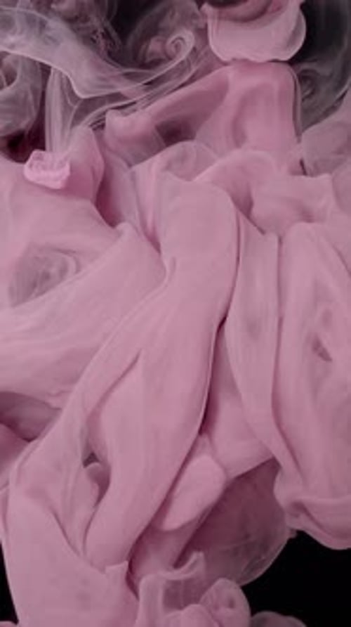 Pink and Black Ink Swirling in Water